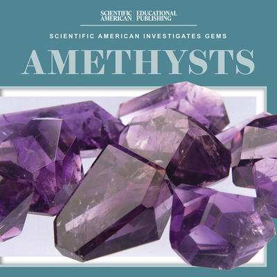Amethysts 1538313766 Book Cover