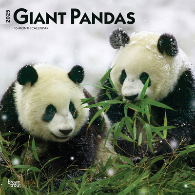 Giant Pandas 2025 12 X 24 Inch Monthly Square W... 1975474848 Book Cover