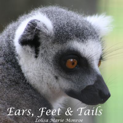 Paperback Ears, Feet and Tails Book