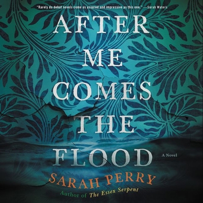 After Me Comes the Flood 1094116696 Book Cover