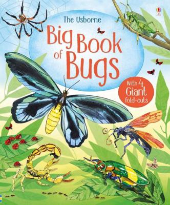 Big Book of Bugs (Big Books) (Big Books of Big ... 147492896X Book Cover
