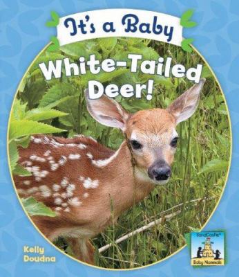 It's a Baby White-Tailed Deer! 1604530332 Book Cover