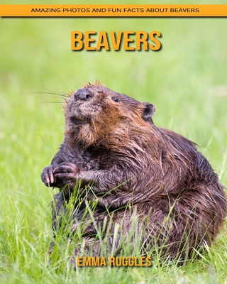 Paperback Beavers: Amazing Photos and Fun Facts about Beavers [Large Print] Book