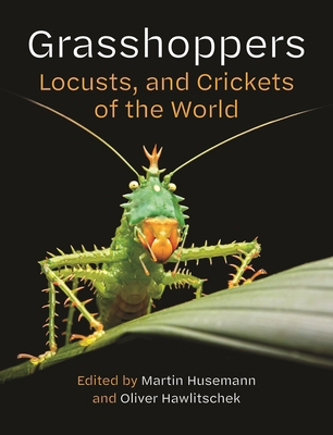 Grasshoppers, Locusts, and Crickets of the World 069128105X Book Cover
