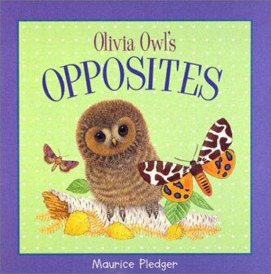 Pledger Board Olivia Owl Opposites 157145456X Book Cover