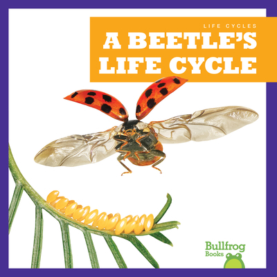 A Beetle's Life Cycle 1636908195 Book Cover