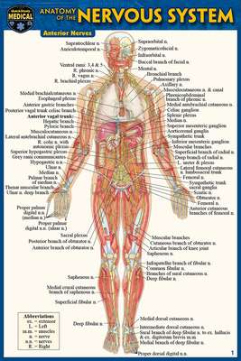 Anatomy of the Nervous System (Pocket-Sized Edi... 1423242734 Book Cover