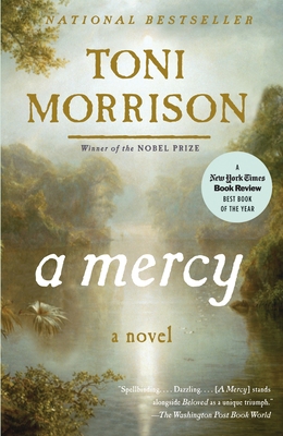 A Mercy 0307276767 Book Cover