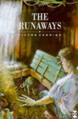 New Windmills: The Runaways (New Windmills) 0435121804 Book Cover