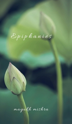 Epiphanies B0DW8LF97C Book Cover
