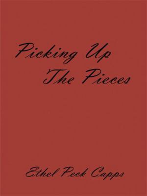 Picking Up the Pieces 1425987494 Book Cover
