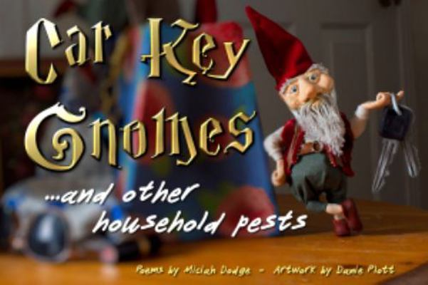 Hardcover Car Key Gnomes and Other Household Pests Book