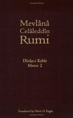 Divan-I Kebir, Meter 2 188799100X Book Cover