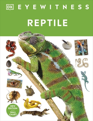Reptile 024163167X Book Cover