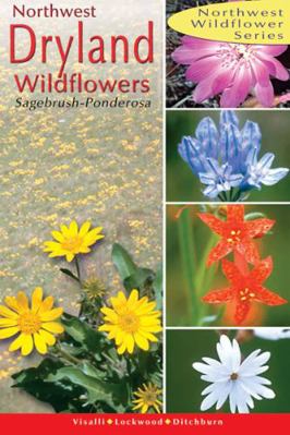 Northwest Dryland Wildflowers: Of the Sagebrush... 0888395175 Book Cover