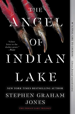 The Angel of Indian Lake 1668011670 Book Cover