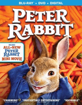 Peter Rabbit            Book Cover