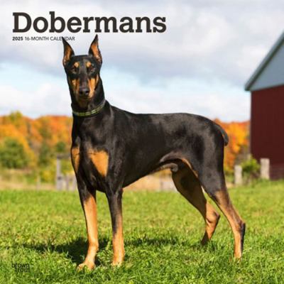 Dobermans 2025 12 X 24 Inch Monthly Square Wall... 197547693X Book Cover