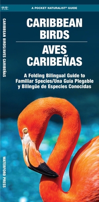 Caribbean Birds/Aves Caribenas, 2nd Ed 1620055503 Book Cover
