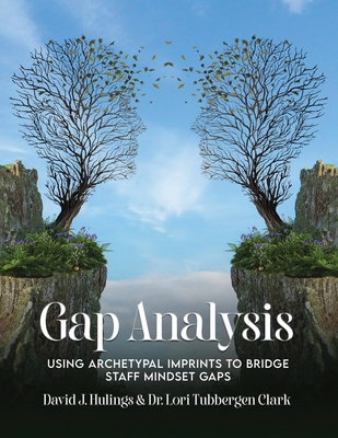 Gap Analysis: Using Archetypal Imprints to Brid... 1962290468 Book Cover