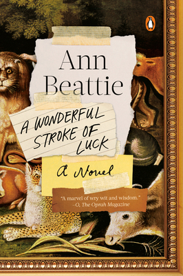 A Wonderful Stroke of Luck 0525557369 Book Cover