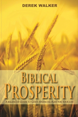 Biblical Prosperity 166167335X Book Cover