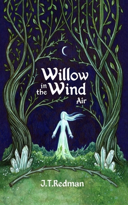 Willow in the Wind: Air B0DDJFV98B Book Cover