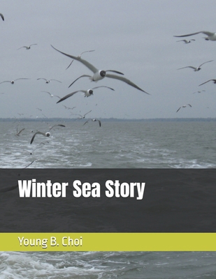 Winter Sea Story: 겨울바ǉ... B0DNJWQSHT Book Cover