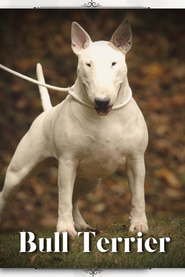 Bull Terrier: Dog breed overview and guide B0C9SGWTS4 Book Cover