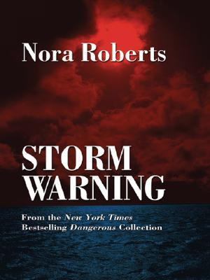 Storm Warning [Large Print] 0786253835 Book Cover