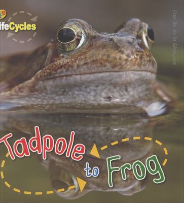 Tadpole to Frog. Camilla de La Bdoyre 1848352271 Book Cover