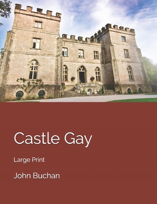 Castle Gay: Large Print 1655019414 Book Cover