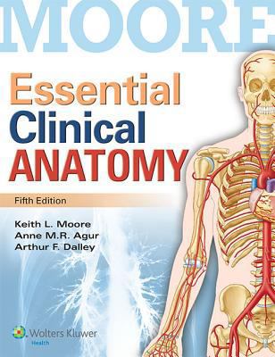 Essential Clinical Anatomy 1451187491 Book Cover