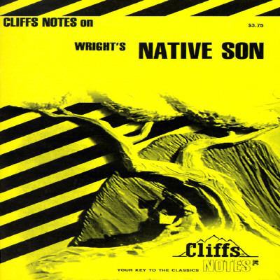 Native Son (Cliffs Notes) 0822008742 Book Cover