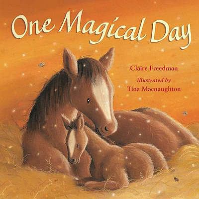 One Magical Day 1845064569 Book Cover