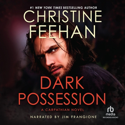 Dark Possession B0FB36CM2X Book Cover