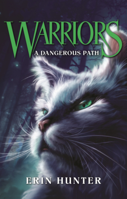 Dangerous Path B0GMZWVZ8T Book Cover