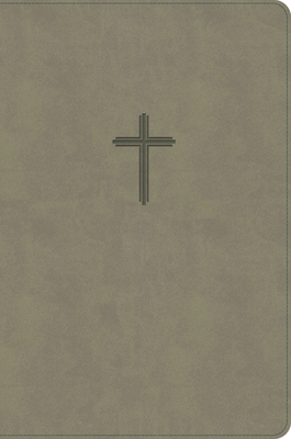 KJV Everyday Study Bible, Earth Suedesoft Leath... B0HG4BNKYL Book Cover