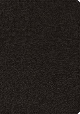 ESV Heirloom Study Bible (Goatskin, Black) 143355688X Book Cover