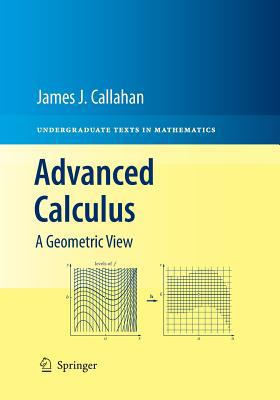 Advanced Calculus: A Geometric View 1493940708 Book Cover