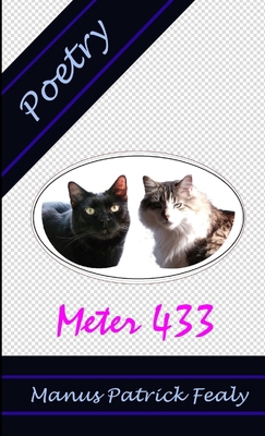 Meter 433: Poetry 1105622207 Book Cover