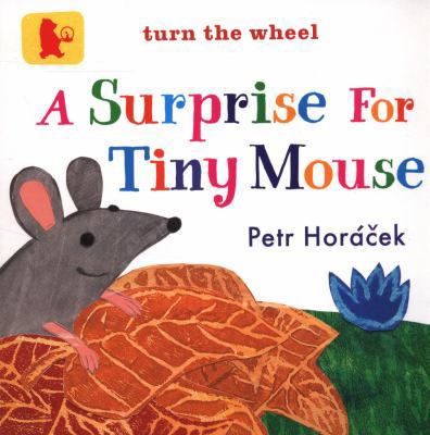 A Surprise for Tiny Mouse (Baby Walker) 1406355453 Book Cover