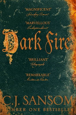 Dark Fire 1447285840 Book Cover