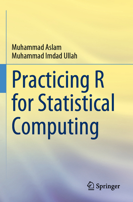 Practicing R for Statistical Computing 9819928885 Book Cover