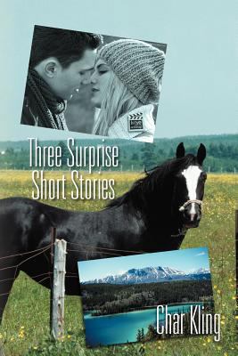 Three Surprise Short Stories 1469142082 Book Cover