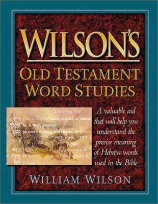 Wilson's Old Testament Word Studies B002SY9DNG Book Cover