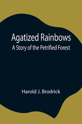 Agatized Rainbows: A Story Of The Petrified Forest 9354846165 Book Cover