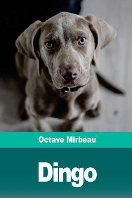 Dingo [French] 1719324956 Book Cover