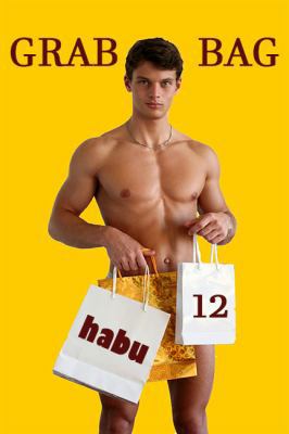 Grab Bag 12 1925568113 Book Cover