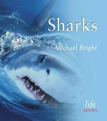 Sharks 056509159X Book Cover